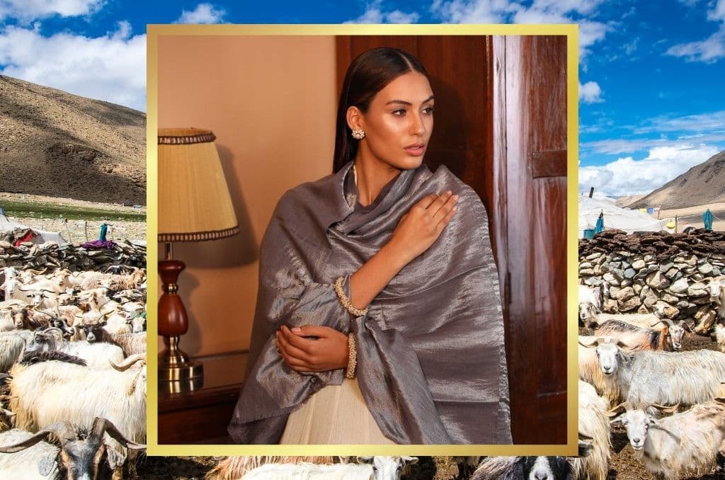 pashmina shawl
