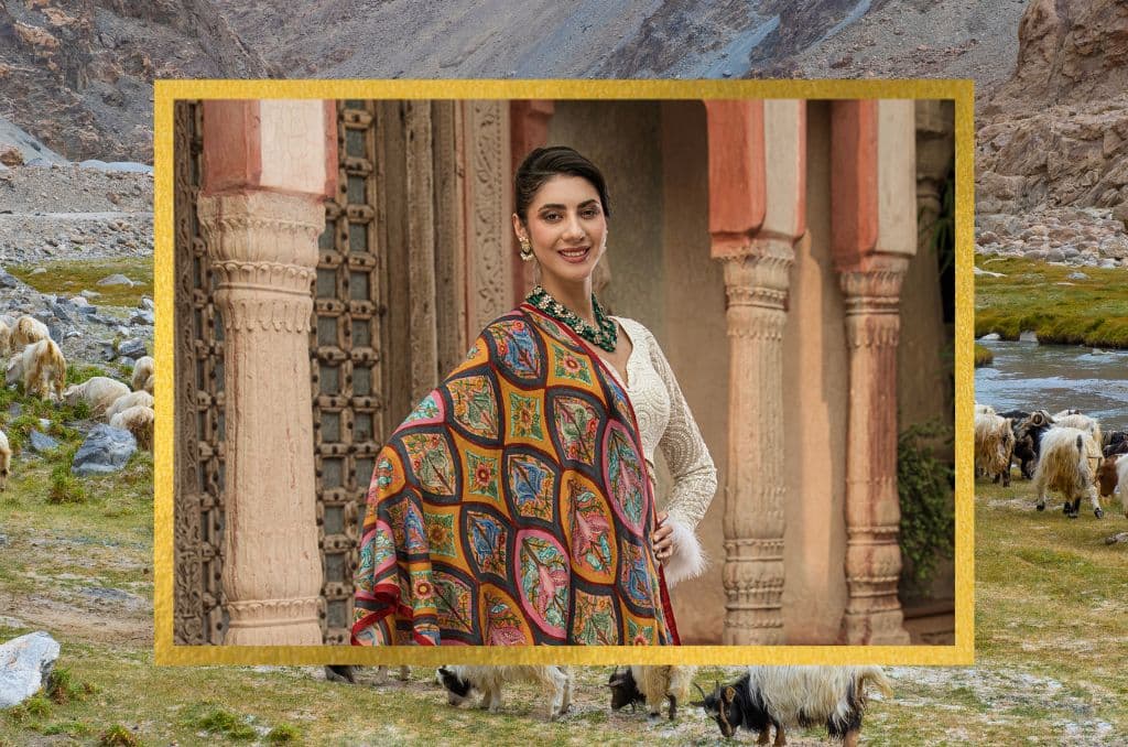 The origin of Pashmina