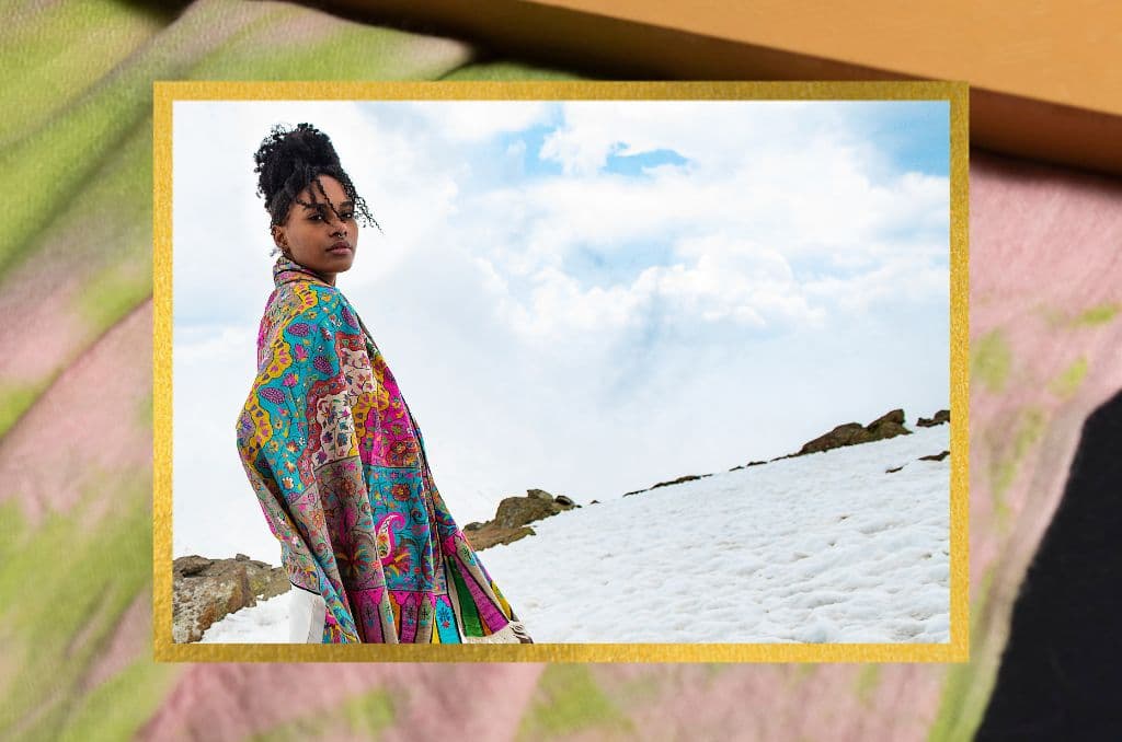 Pashmina- Travel companion