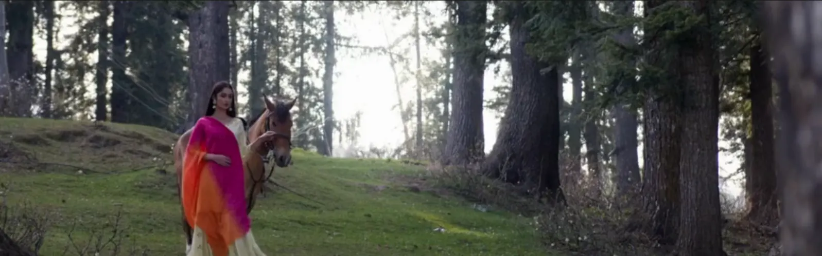 Home Banner Video Poster